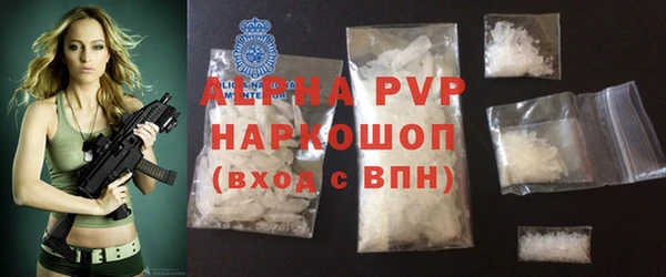 PSILOCYBIN Новокубанск