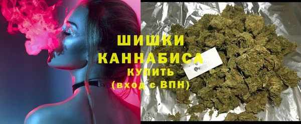 прущие крисы Новозыбков