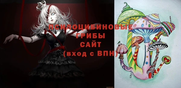 прущие крисы Новозыбков