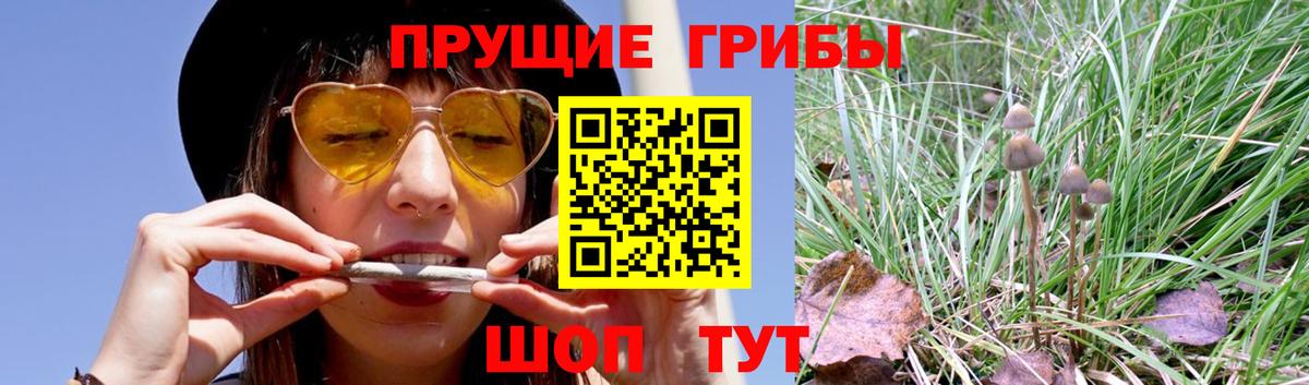 Галлюциногенные грибы MAGIC MUSHROOMS  Галлюциногенные грибы Magic Shrooms  Отрадное  Вход с VPN 